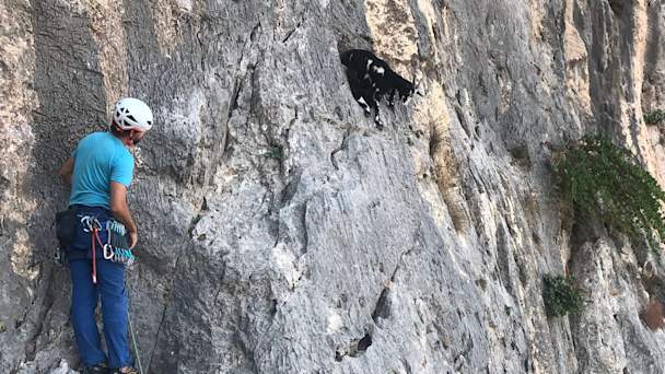 Klattring Pa Kalymnos Sportklattringens Mecka Tui Inspiration