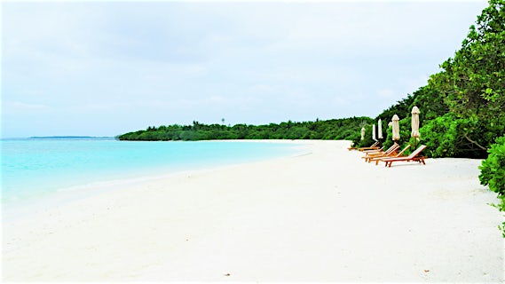 The Barefoot Eco Resort