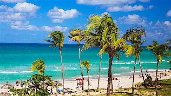 Starfish Cuatro Palmas